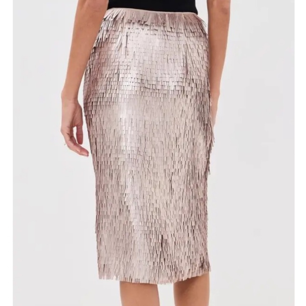 Rohe sequin midi skirt - Picture 6 of 12